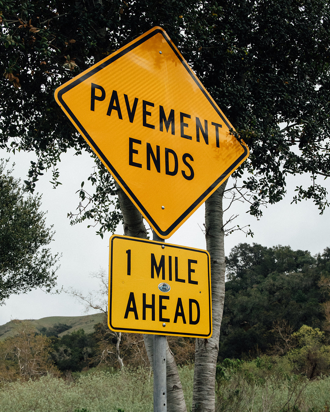 Quoc M3 Sport Road Shoes Rennradschuhe White